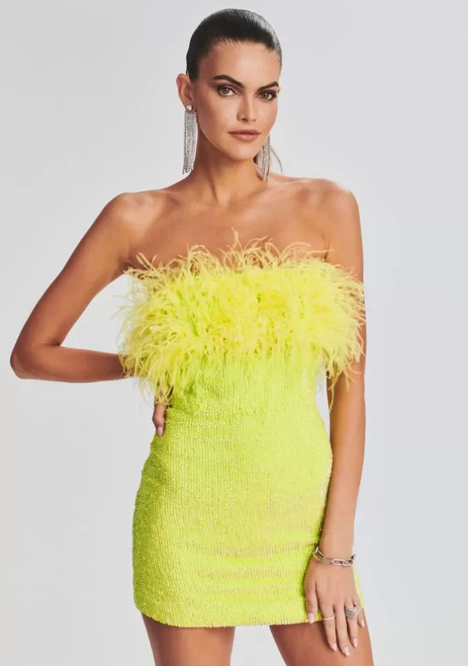 Women Retrofête Dresses | Torin Sequin Feather Dress